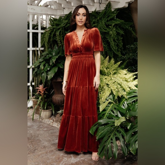 Artemis velvet dress - Picture 5 of 5